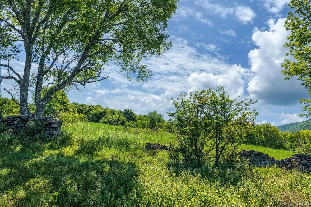 26 Federal Hill 2 Road Delhi, NY 13753