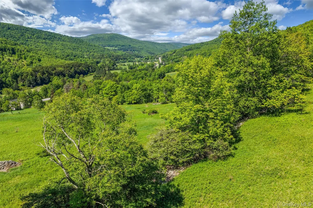 26 Federal Hill 2 Road Delhi, NY 13753