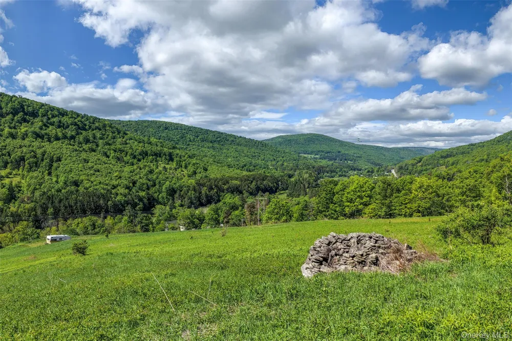 26 Federal Hill 2 Road Delhi, NY 13753