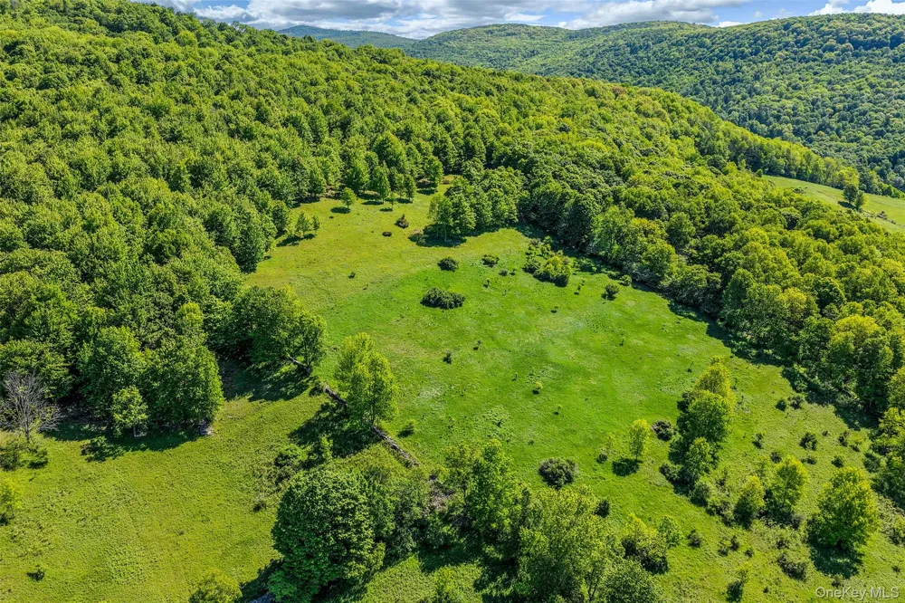 26 Federal Hill 2 Road Delhi, NY 13753