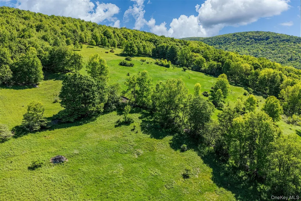 26 Federal Hill 2 Road Delhi, NY 13753