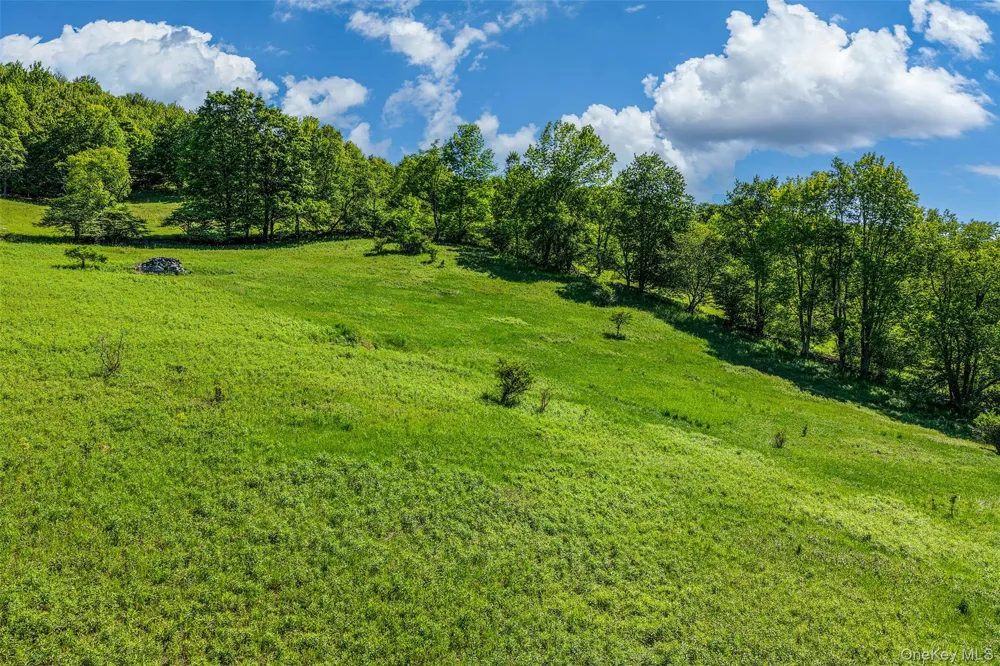26 Federal Hill 2 Road Delhi, NY 13753