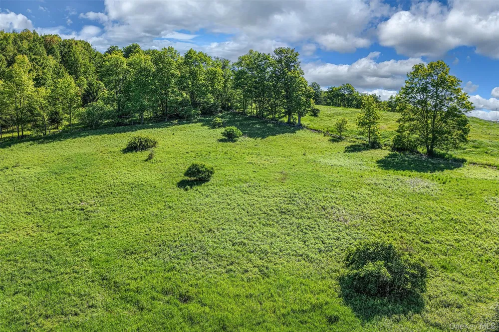 26 Federal Hill 2 Road Delhi, NY 13753