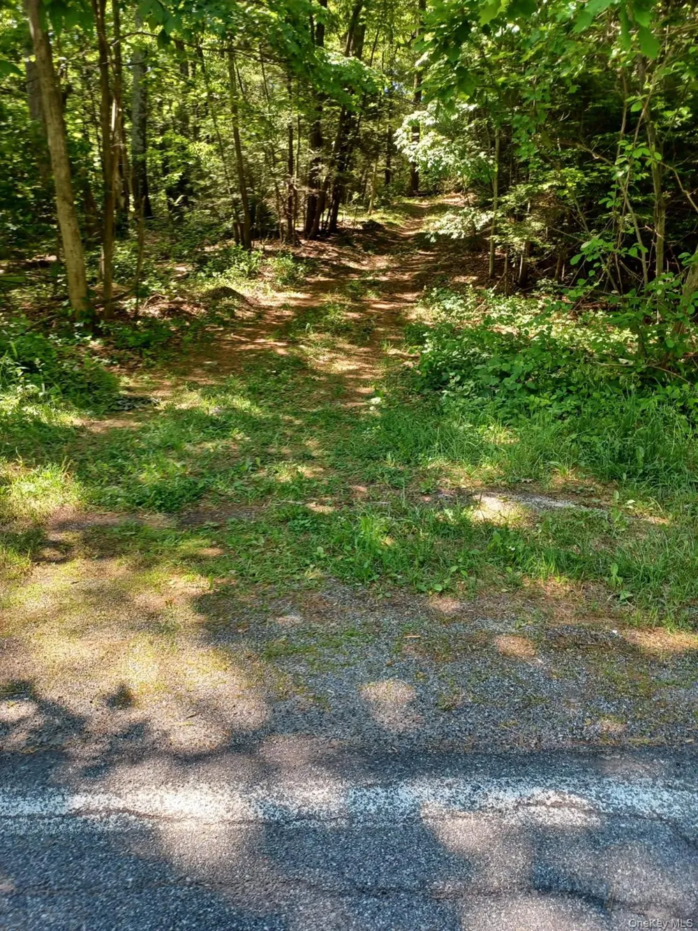 Bramertown Road Tuxedo Park, NY 10987