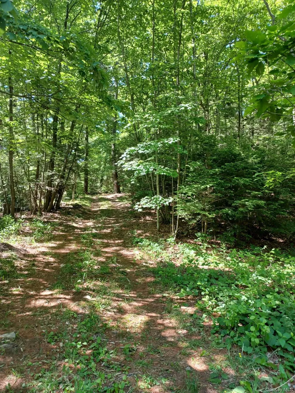 Bramertown Road Tuxedo Park, NY 10987