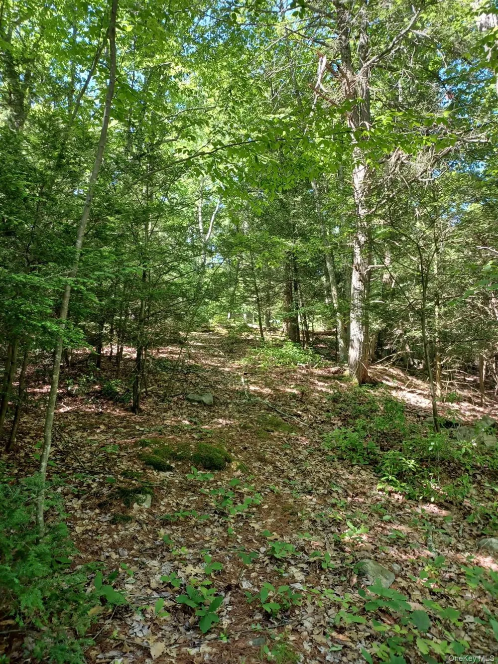 Bramertown Road Tuxedo Park, NY 10987