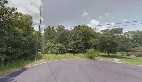 SPRING LOOP DRIVE