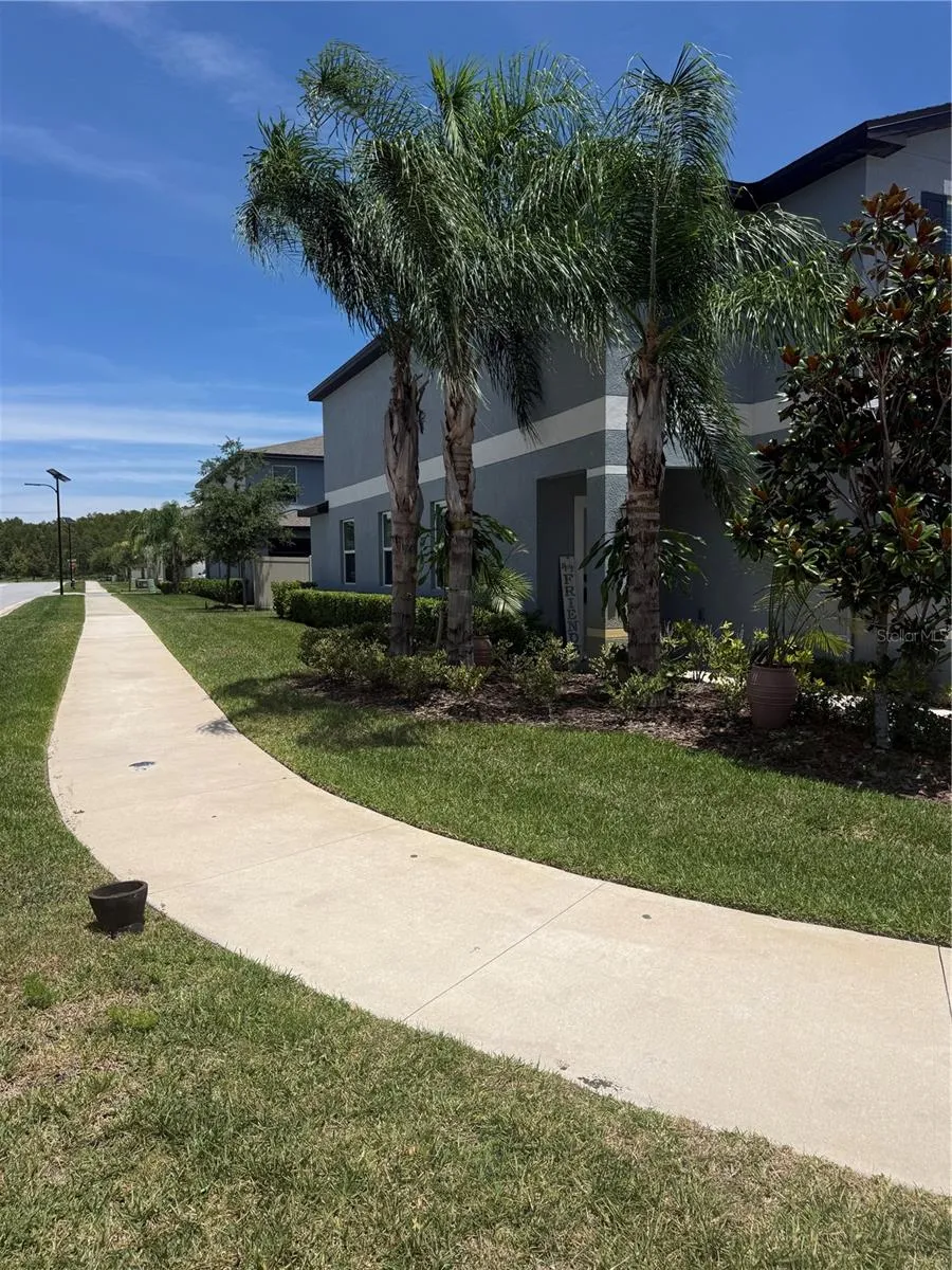 2188 CERULEAN SKY DRIVE Lutz, FL 33558