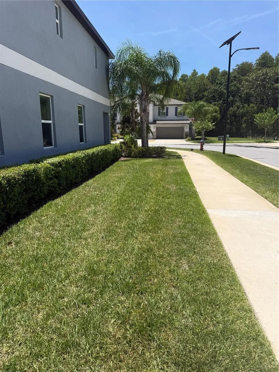 2188 CERULEAN SKY DRIVE Lutz, FL 33558