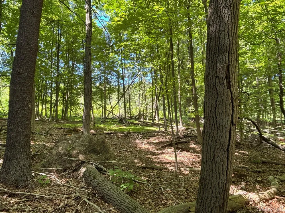 0 Smith Road Poughkeepsie, NY 12603