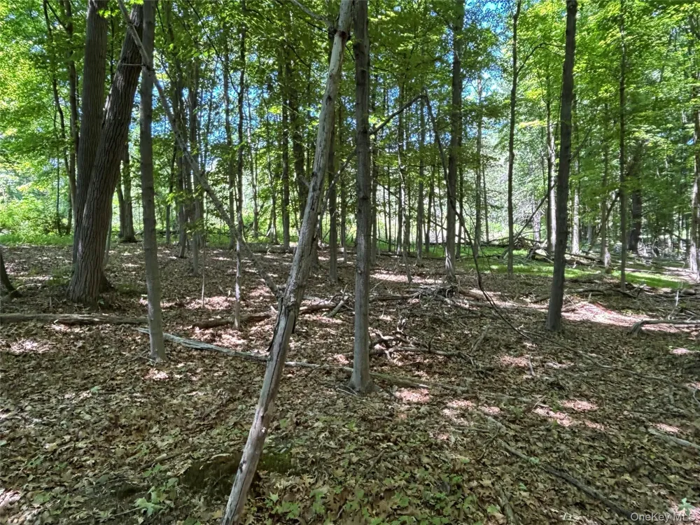 0 Smith Road Poughkeepsie, NY 12603