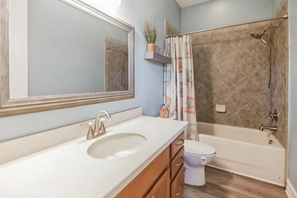 1340 RIBOLLA DRIVE Palm Harbor, FL 34683
