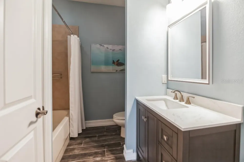 1340 RIBOLLA DRIVE Palm Harbor, FL 34683