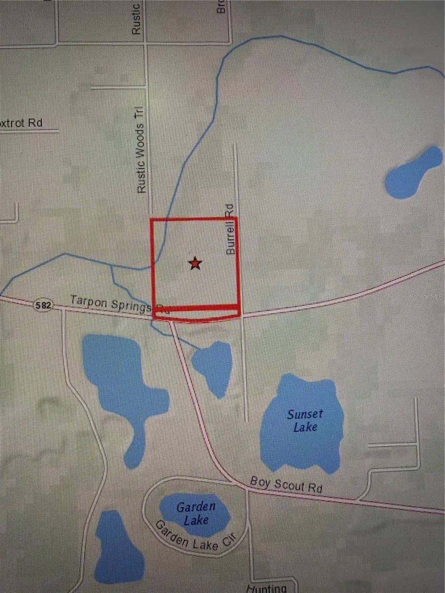 11819 TARPON SPRINGS ROAD Odessa, FL 33556