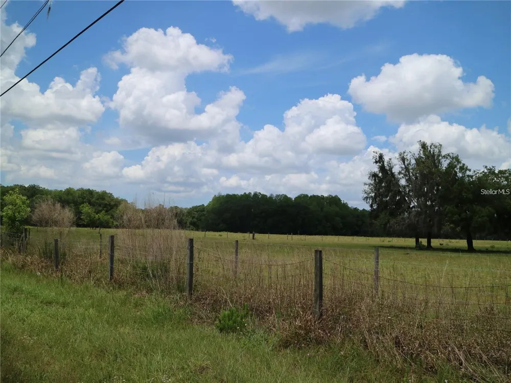 11819 TARPON SPRINGS ROAD Odessa, FL 33556