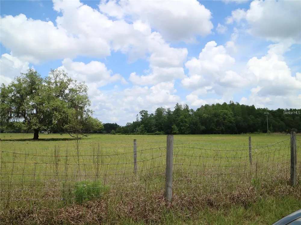 11819 TARPON SPRINGS ROAD Odessa, FL 33556
