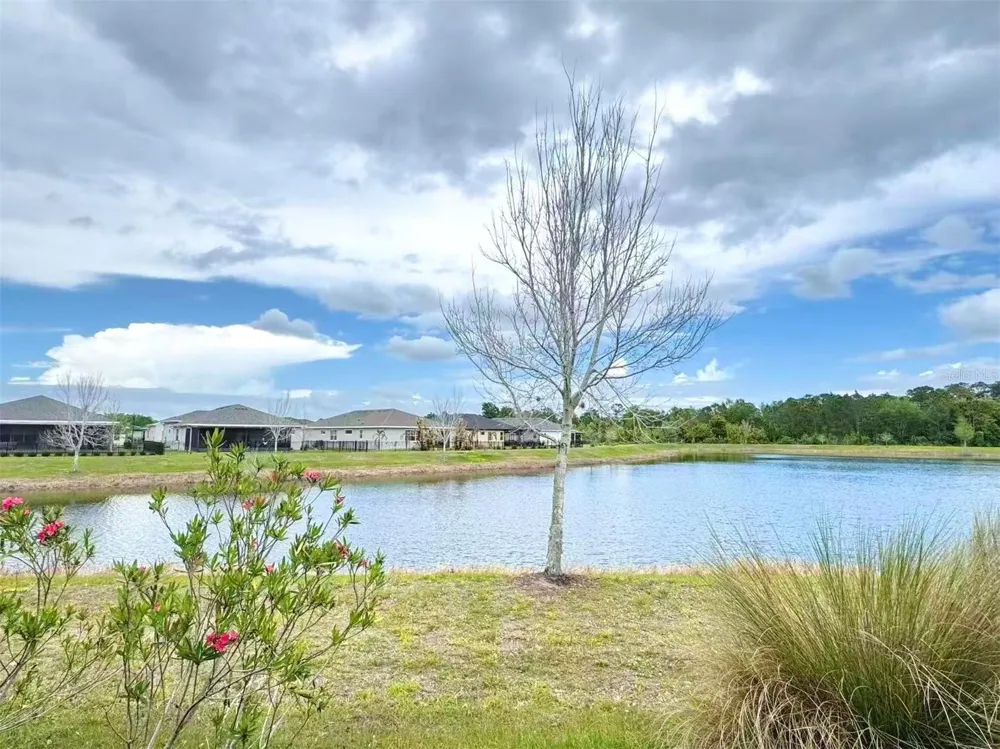 3434 SAGEBRUSH STREET Harmony, FL 34773
