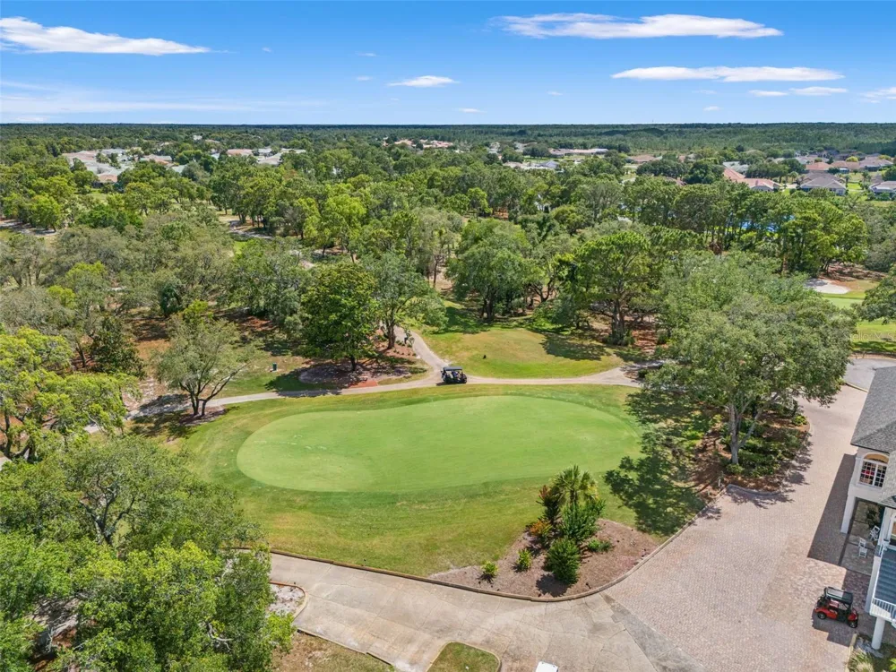8420 MAYBELLE DRIVE Weeki Wachee, FL 34613