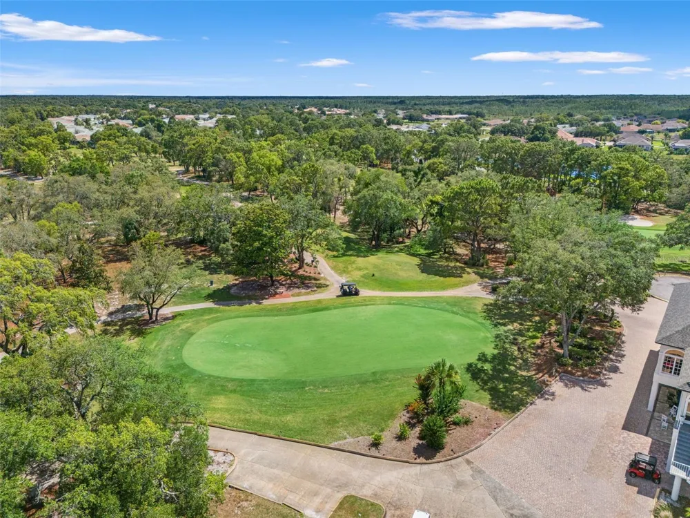8420 MAYBELLE DRIVE Weeki Wachee, FL 34613