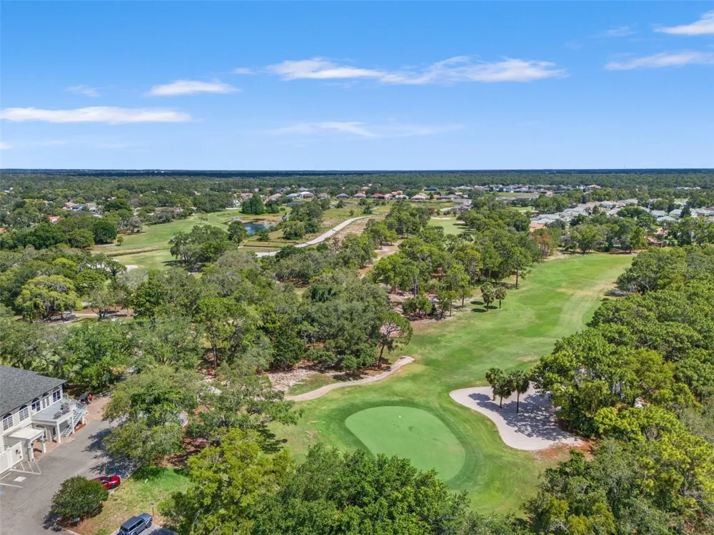 8420 MAYBELLE DRIVE Weeki Wachee, FL 34613
