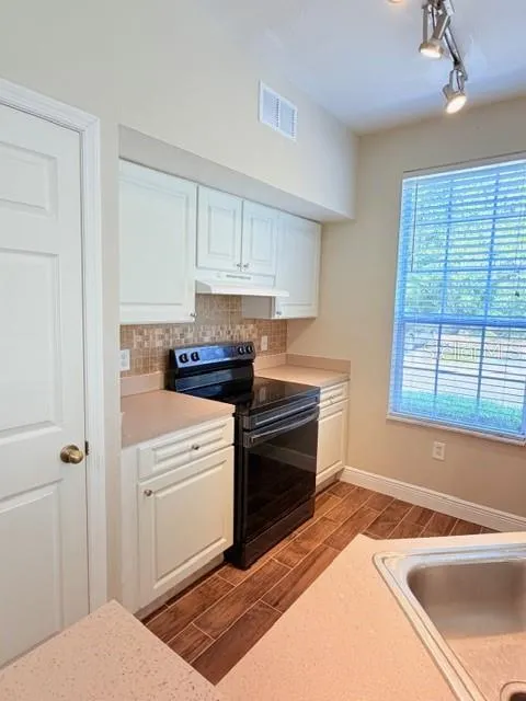 9108 LAKE CHASE ISLAND WAY #9108 Tampa, FL 33626
