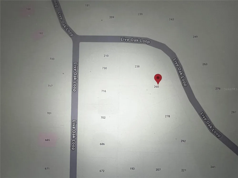 260 LIVE OAK LOOP Crescent City, FL 32112