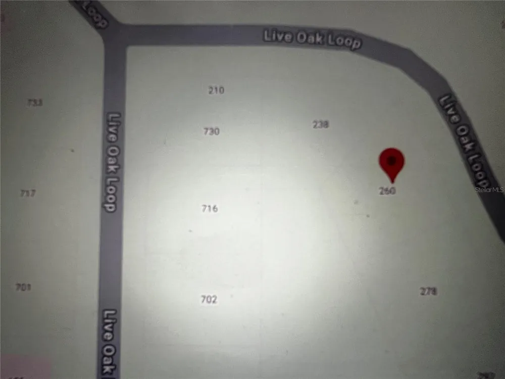 260 LIVE OAK LOOP Crescent City, FL 32112