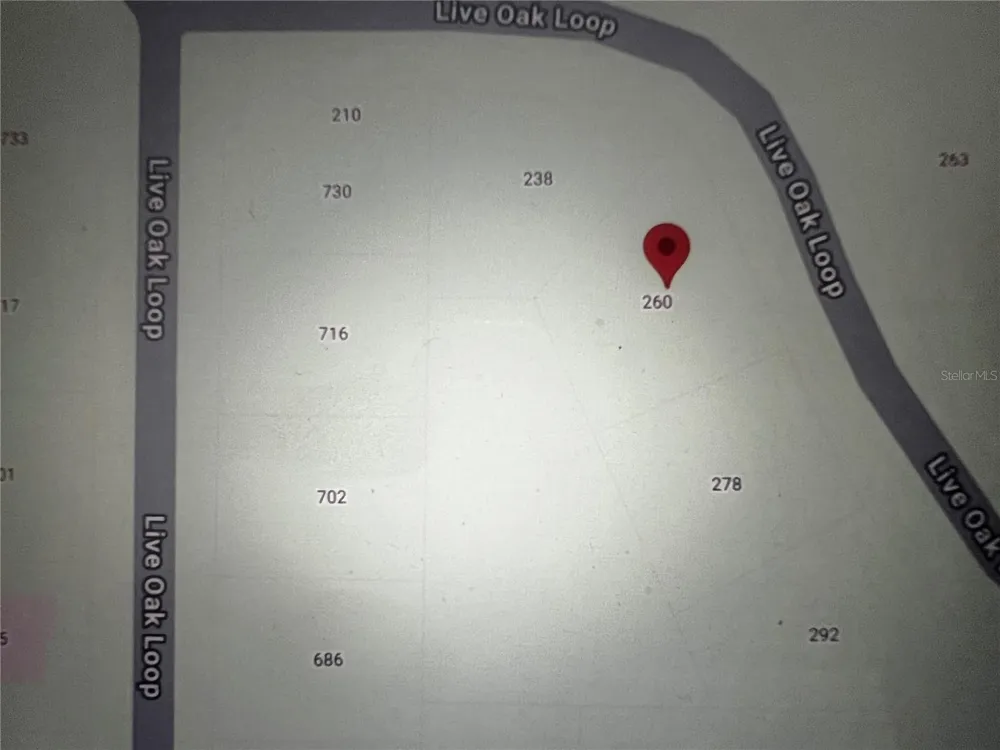 260 LIVE OAK LOOP Crescent City, FL 32112