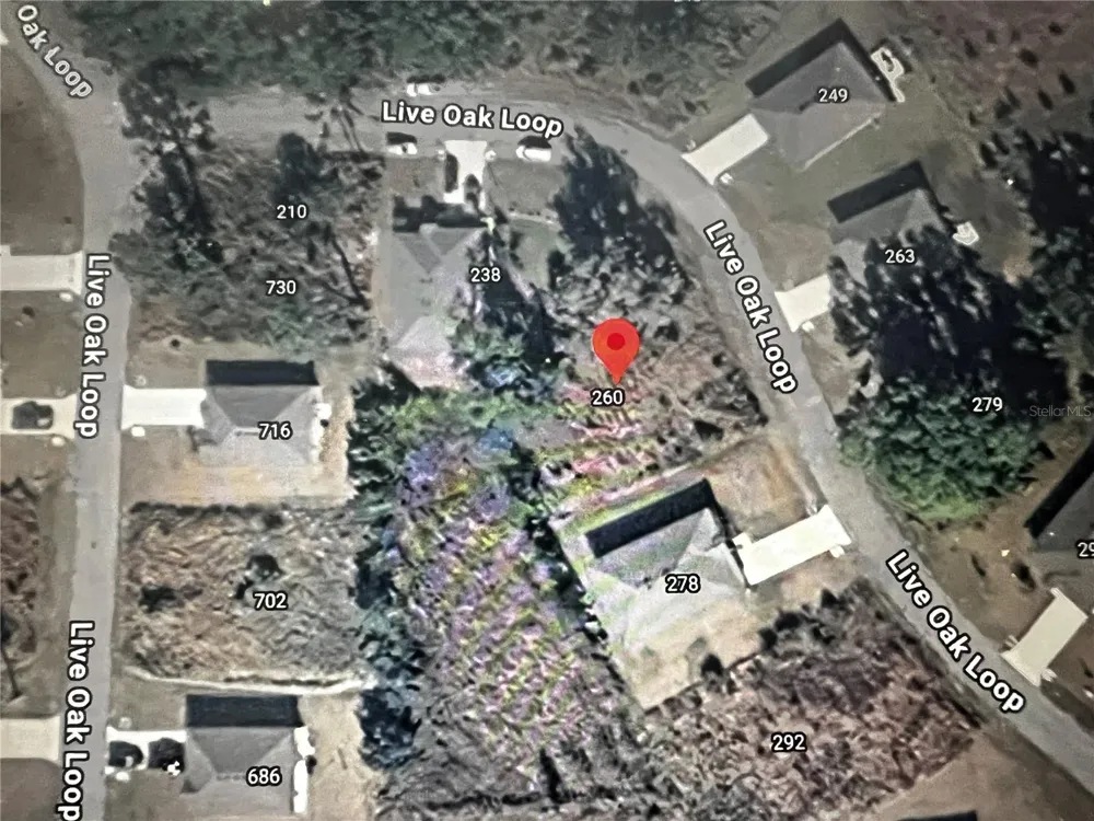 260 LIVE OAK LOOP Crescent City, FL 32112