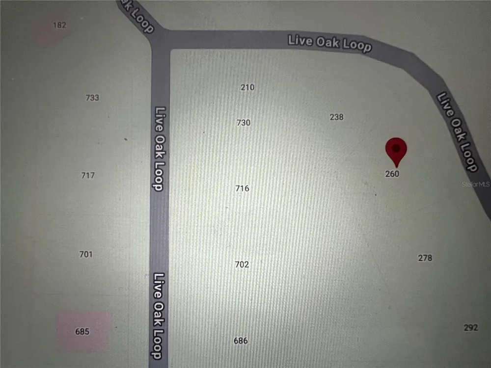 260 LIVE OAK LOOP Crescent City, FL 32112