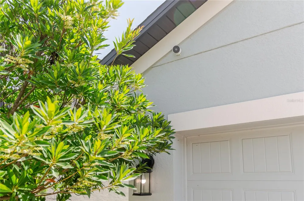 17871 CORTES CREEK BOULEVARD Spring Hill, FL 34610