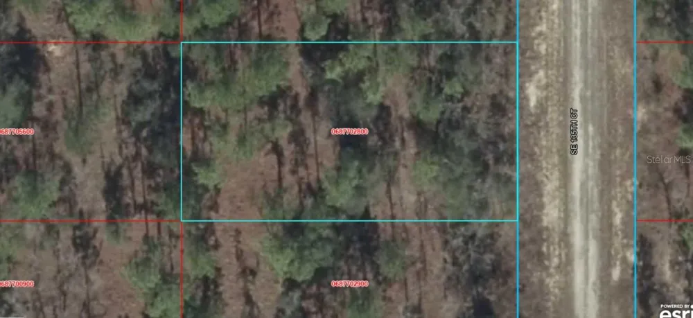 06877-028-00 SE 135TH COURT Dunnellon, FL 34431