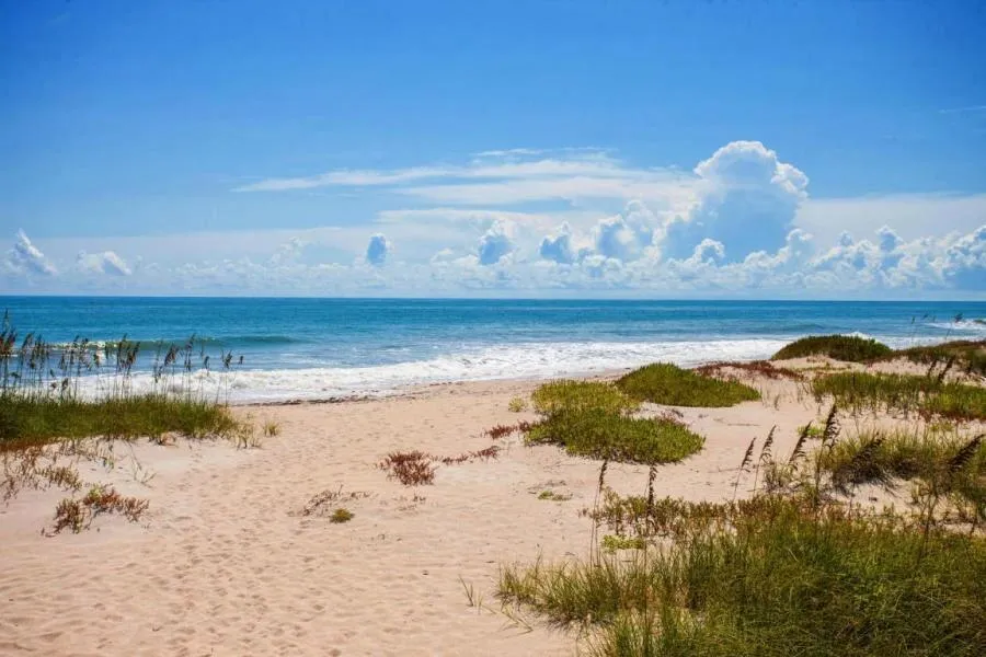 5167 Highway A1a Highway #806 Fort Pierce, FL 34949