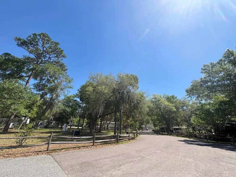25244 NE 143RD  ST #180 Salt Springs, FL 32134