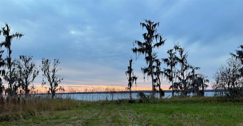 14453 ANDALUSIA TRAIL Bunnell, FL 32110