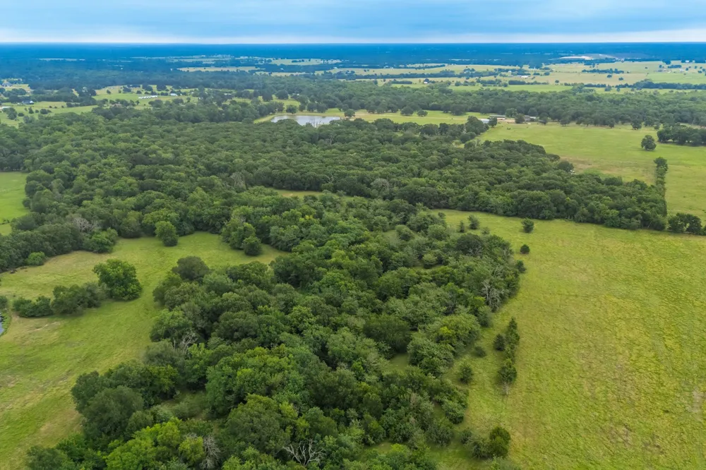 County Road 4209 Campbell, TX 75422