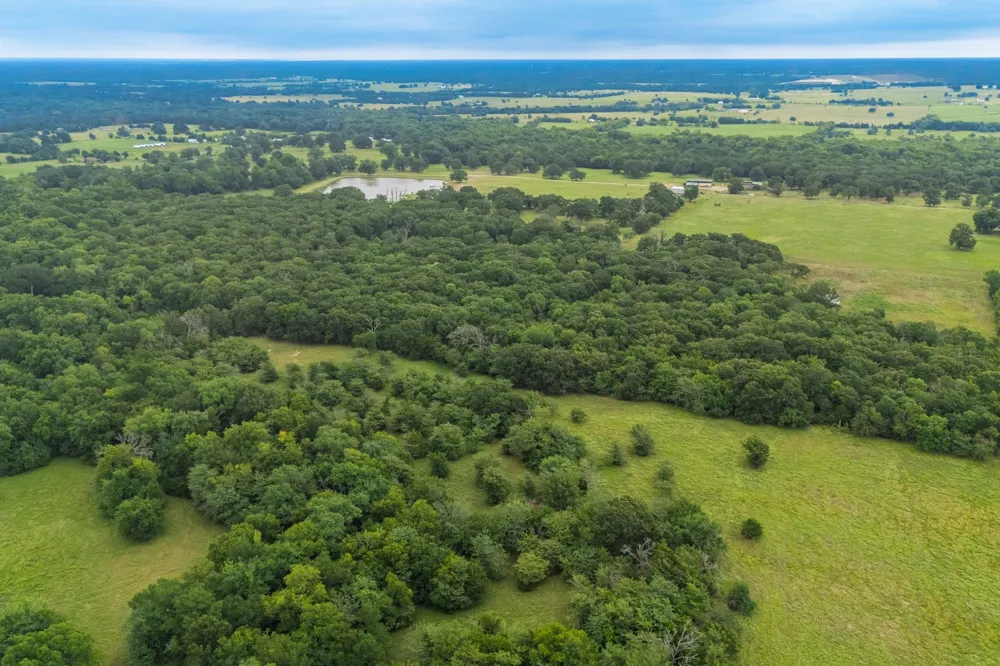 County Road 4209 Campbell, TX 75422