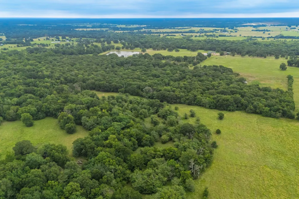 County Road 4209 Campbell, TX 75422