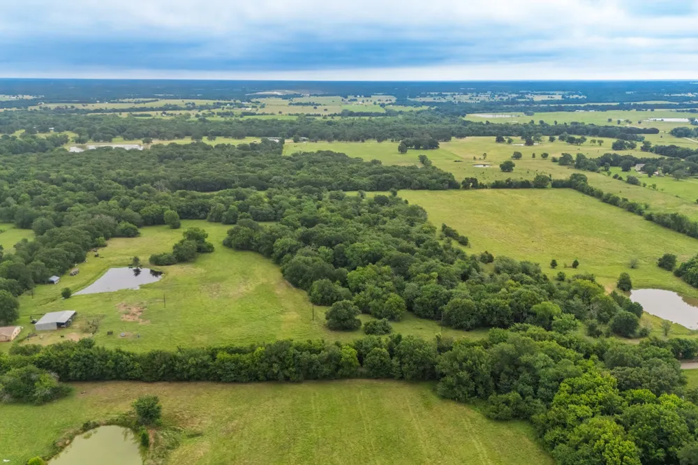 County Road 4209 Campbell, TX 75422