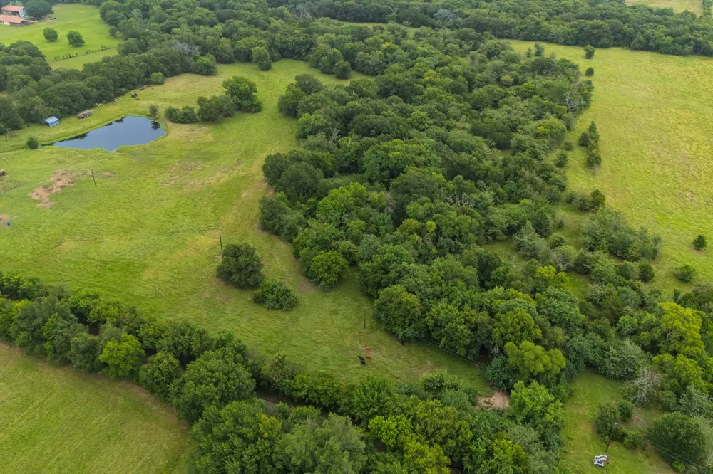 County Road 4209 Campbell, TX 75422