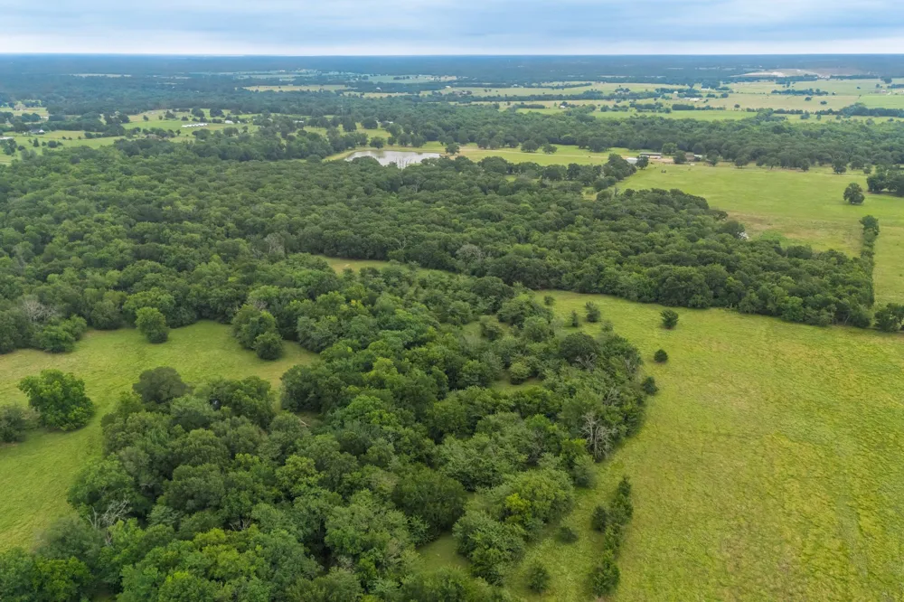 County Road 4209 Campbell, TX 75422