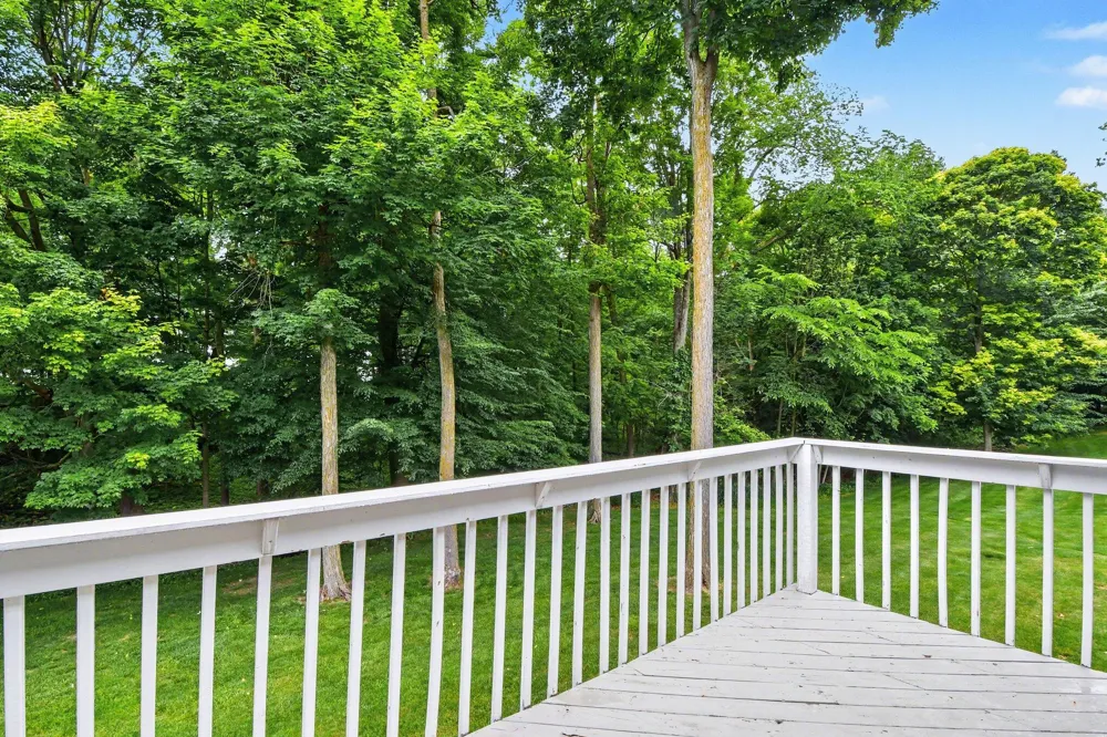 6920 Beechwood Drive Saranac, MI 48881