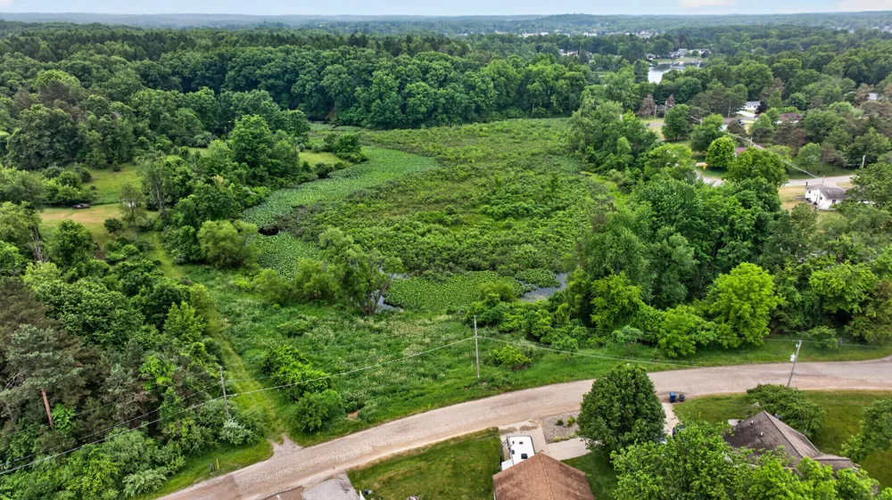 12059 W Galway Drive Jerome, MI 49249