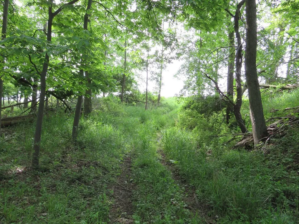 Rescue Road Grant Township, MI 48754
