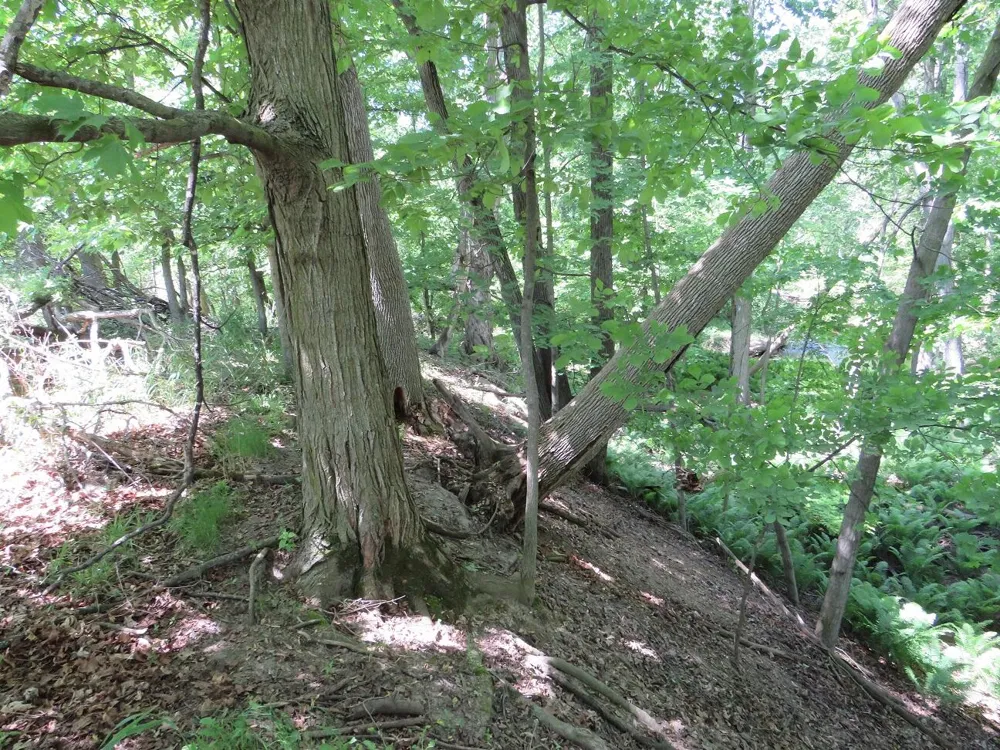 Rescue Road Grant Township, MI 48754