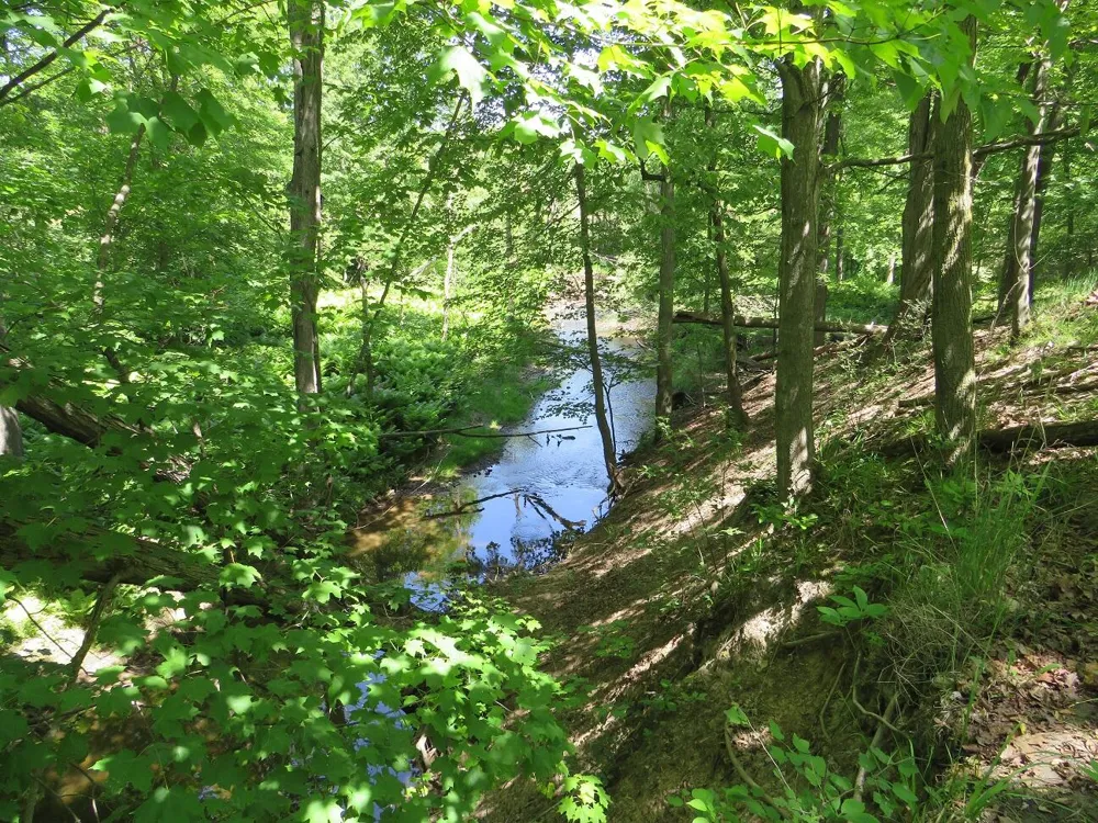 Rescue Road Grant Township, MI 48754