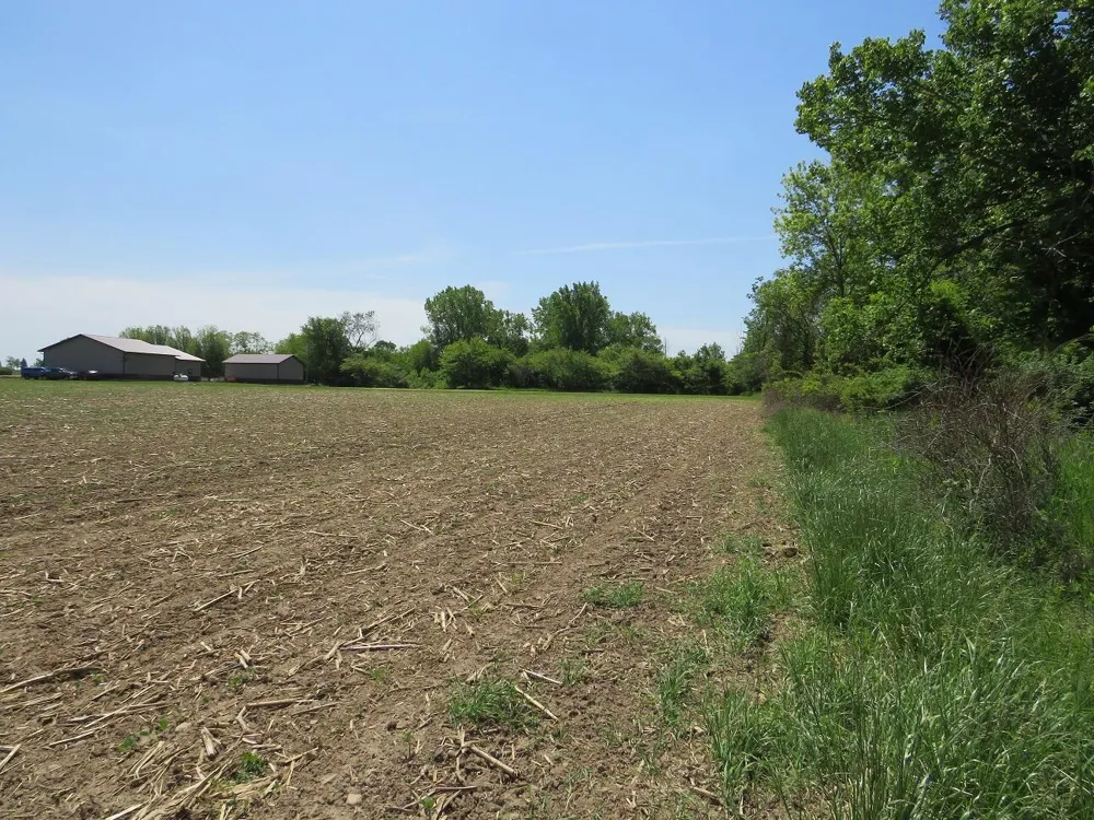 Rescue Road Grant Township, MI 48754