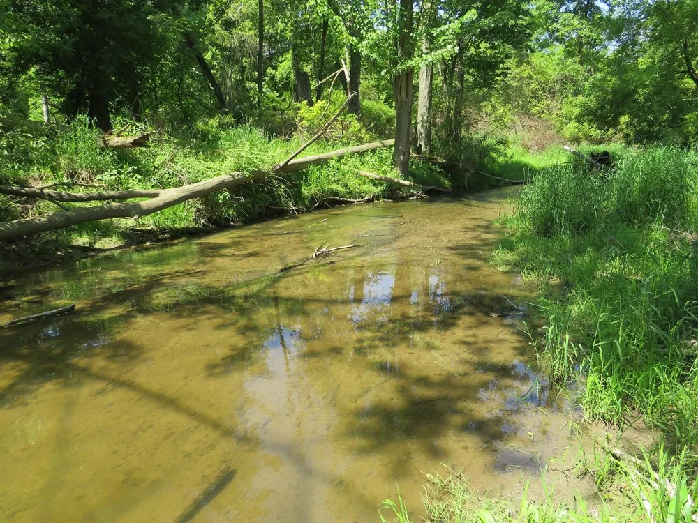 Rescue Road Grant Township, MI 48754
