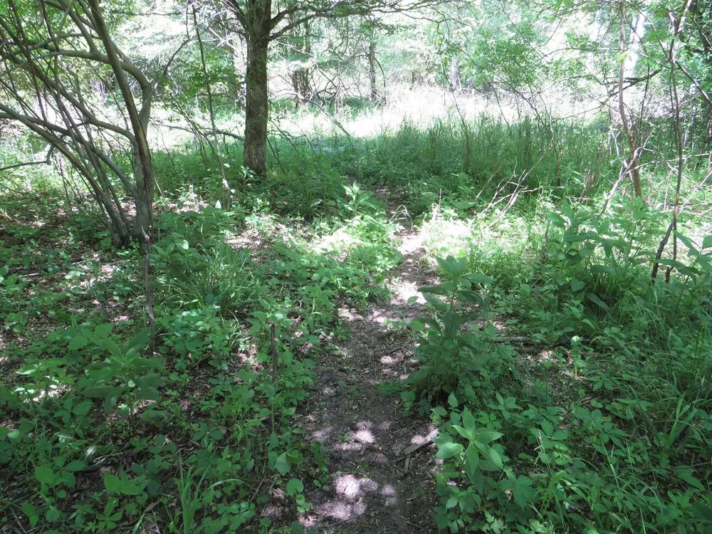 Rescue Road Grant Township, MI 48754