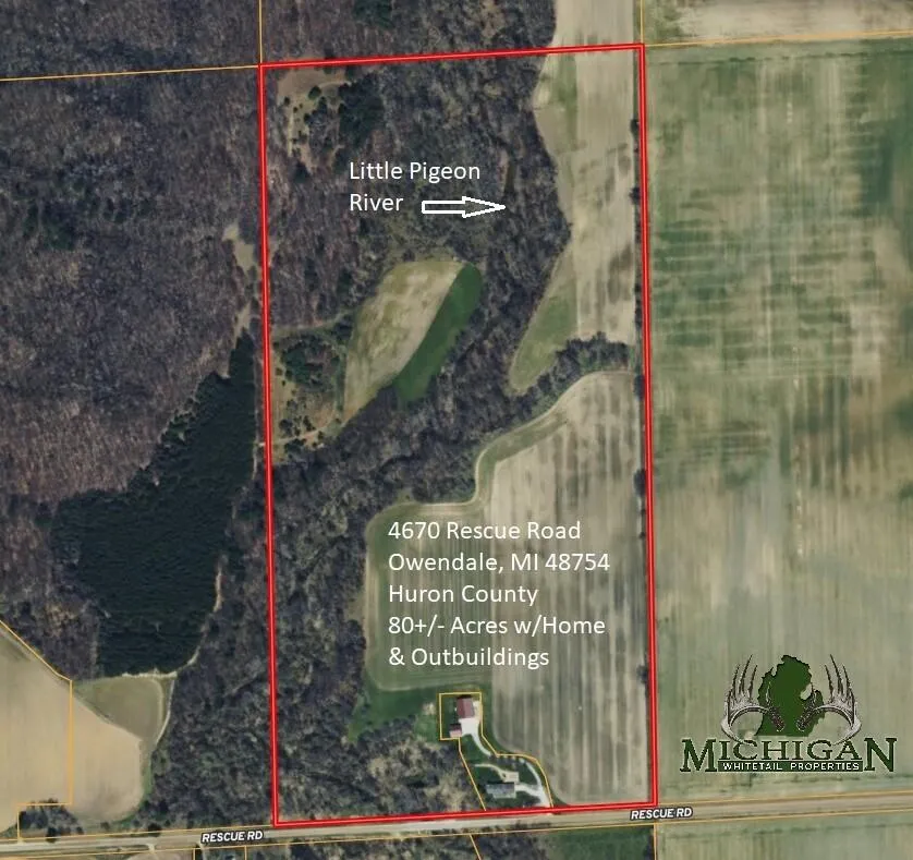 Rescue Road Grant Township, MI 48754
